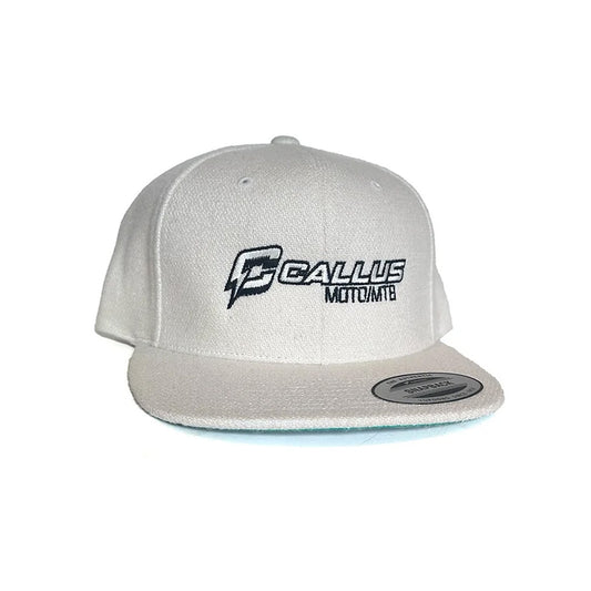 Tan icon SnapBack