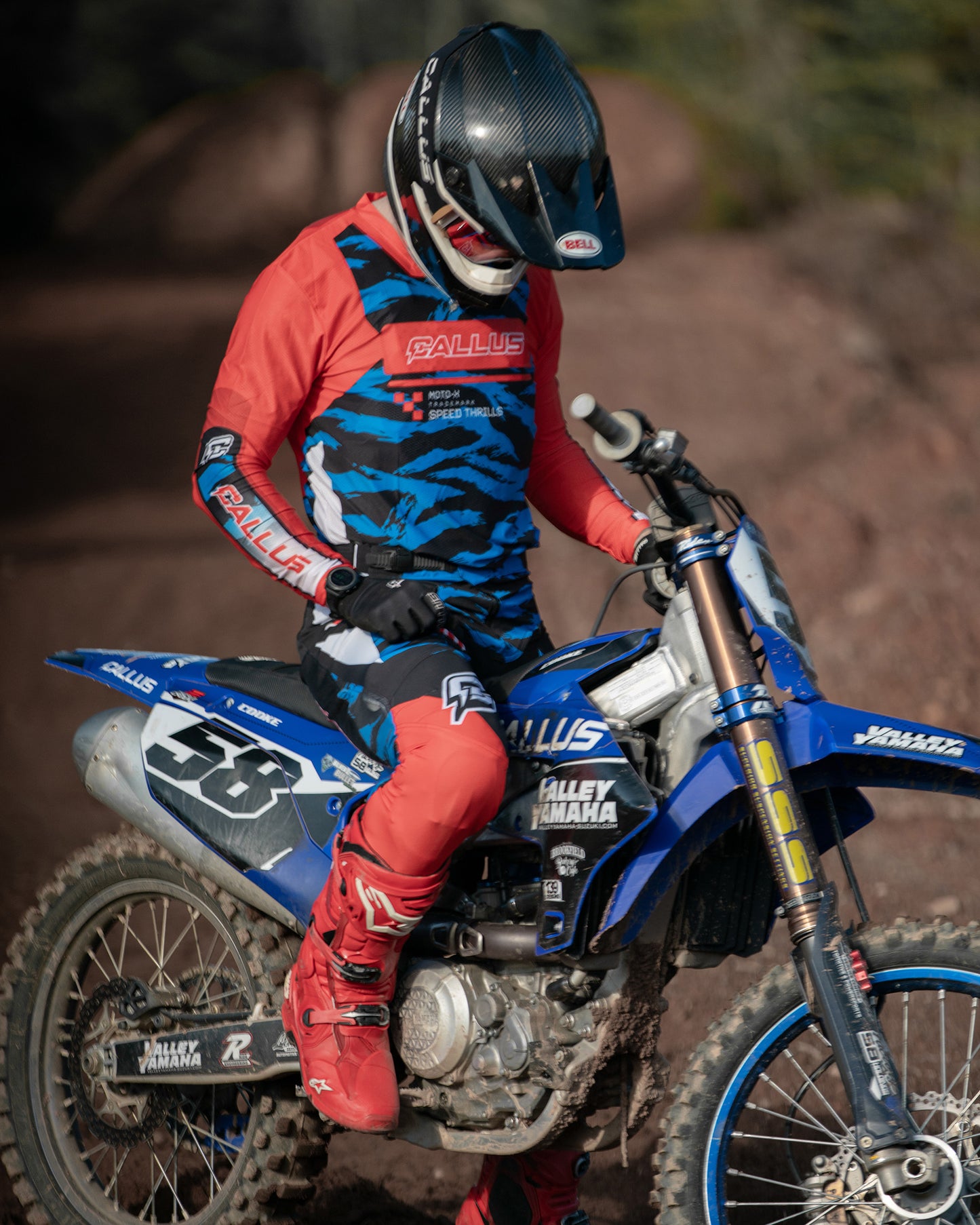 Blue tiger pant